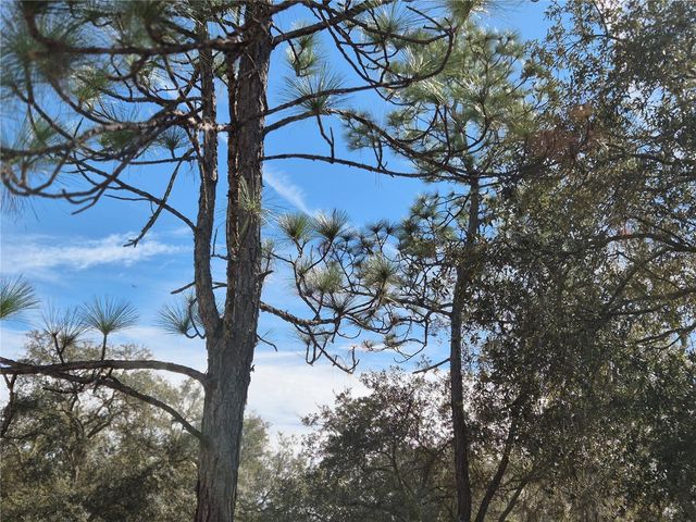 00 NE 78TH LANE, Bronson, FL 32621