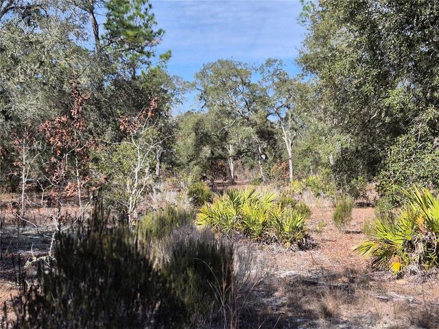 00 NE 78TH LANE, Bronson, FL 32621