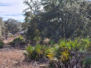 00 NE 78TH LANE, Bronson, FL 32621