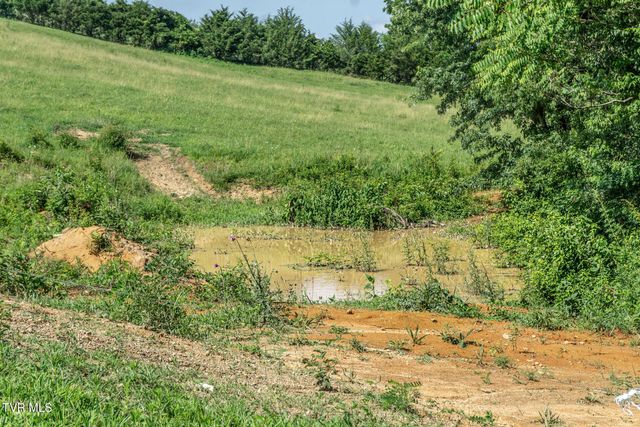 255 Jeffers Lane, Limestone, TN 37681
