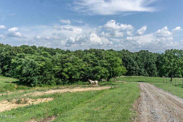 255 Jeffers Lane, Limestone, TN 37681