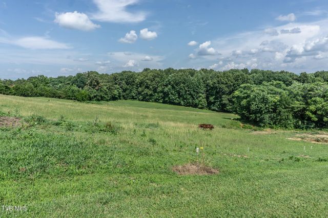 255 Jeffers Lane, Limestone, TN 37681