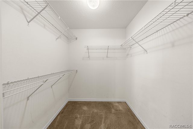 9319 SE 161st Place, Summerfield, FL 34491