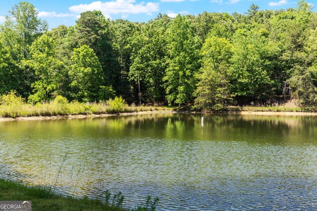 85 Misty Hollow Ridge, Ellijay, GA 30536