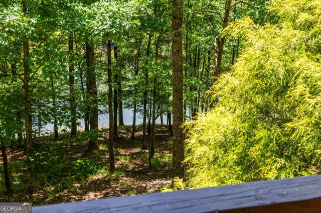 85 Misty Hollow Ridge, Ellijay, GA 30536