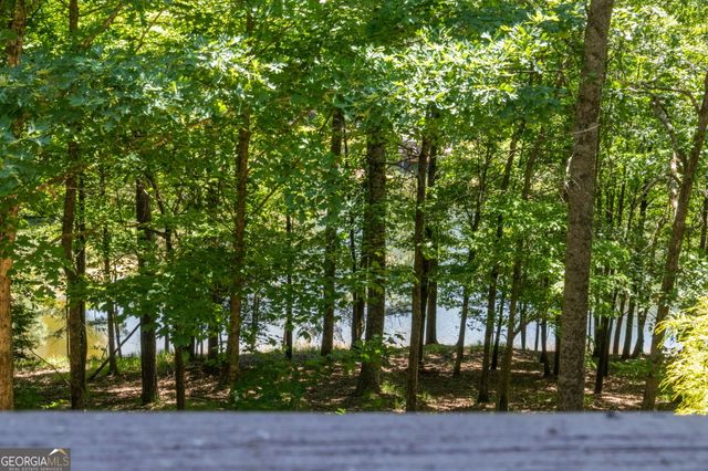 85 Misty Hollow Ridge, Ellijay, GA 30536
