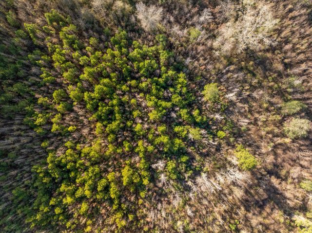 4438 Highway 49, Mount Olive, MS 39119