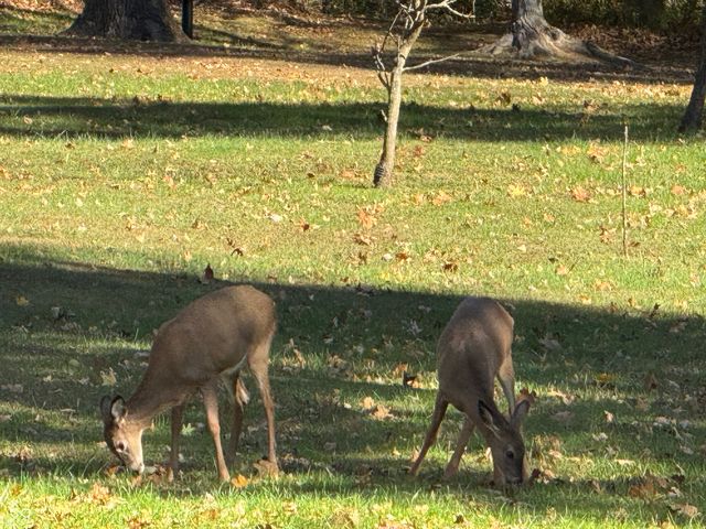 5502 S County Road 625 W, Reelsville, IN 46171