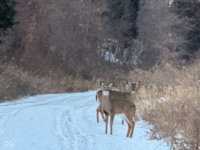 5502 S County Road 625 W, Reelsville, IN 46171