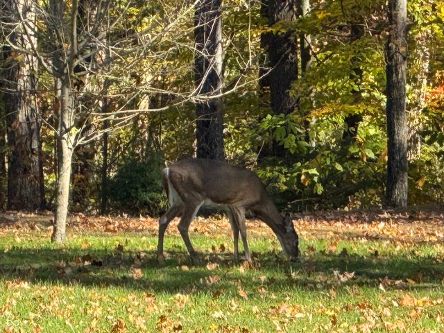 5502 S County Road 625 W, Reelsville, IN 46171