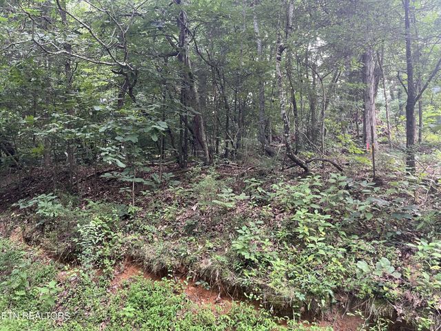 3278 Hillside Rd, White Pine, TN 37890