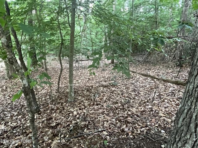 3278 Hillside Rd, White Pine, TN 37890