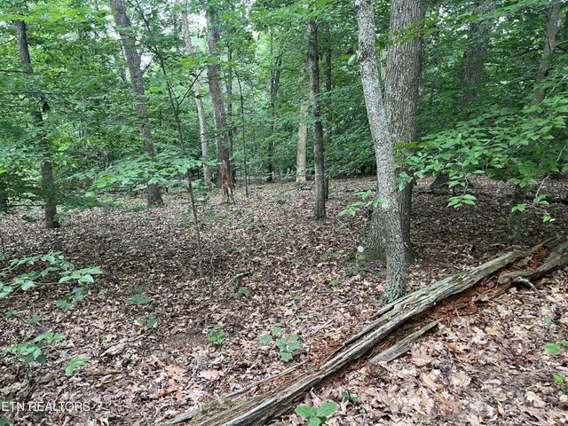 3278 Hillside Rd, White Pine, TN 37890
