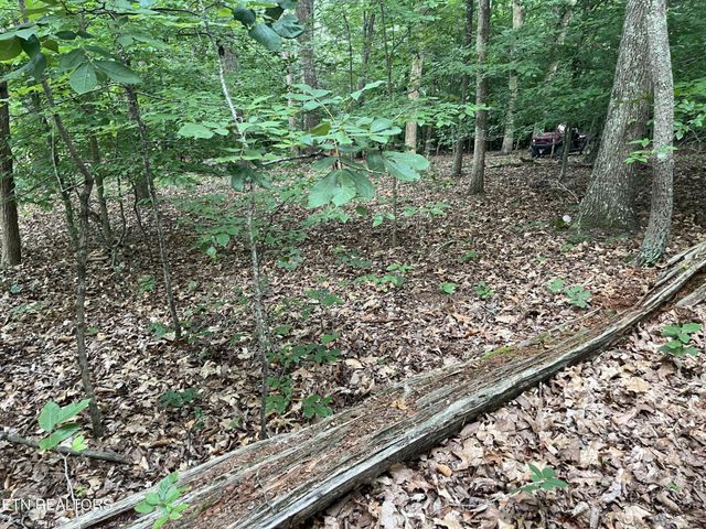 3278 Hillside Rd, White Pine, TN 37890