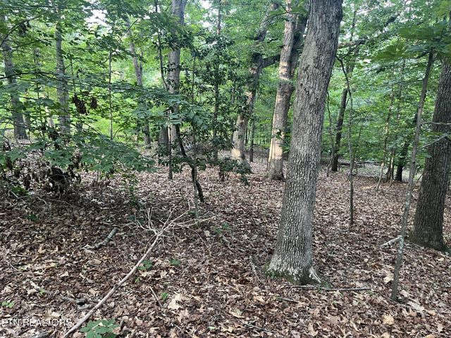 3278 Hillside Rd, White Pine, TN 37890