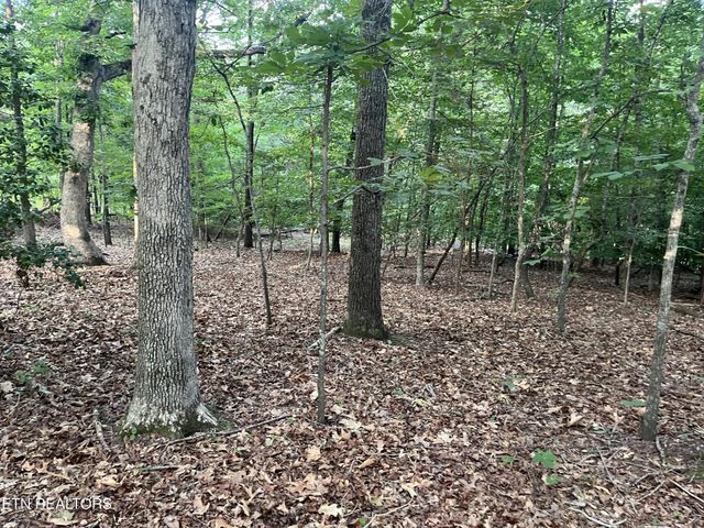 3278 Hillside Rd, White Pine, TN 37890