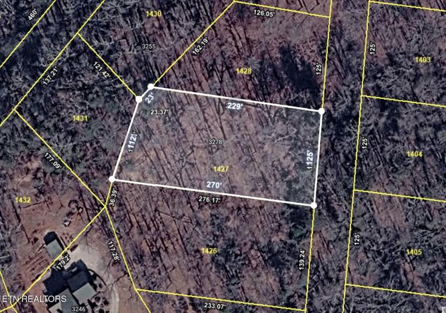 3278 Hillside Rd, White Pine, TN 37890
