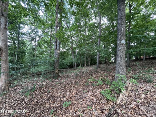 3278 Hillside Rd, White Pine, TN 37890
