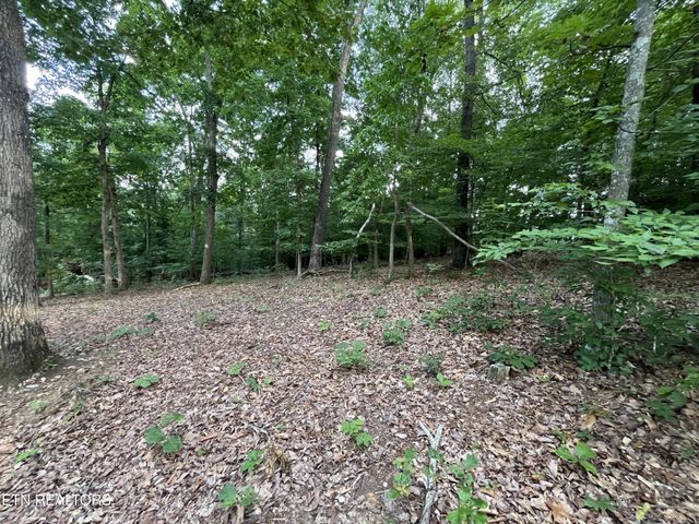 3278 Hillside Rd, White Pine, TN 37890