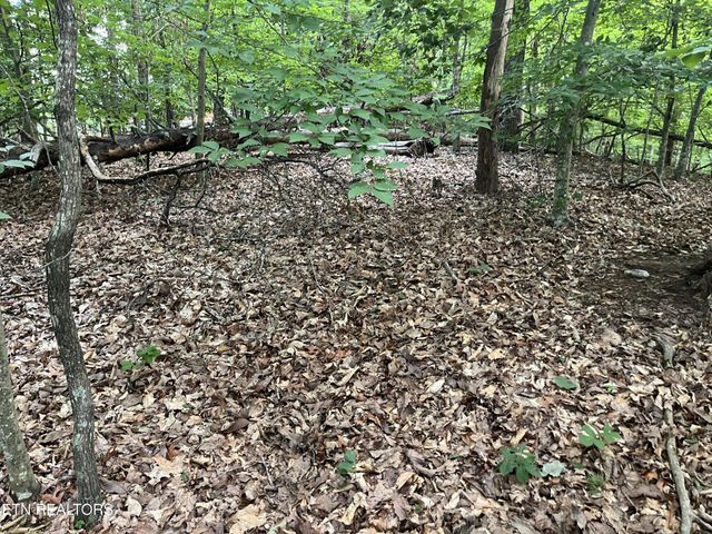 3278 Hillside Rd, White Pine, TN 37890