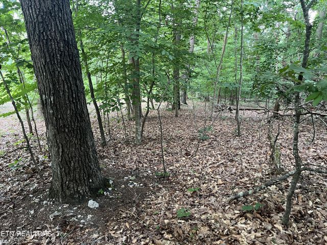 3278 Hillside Rd, White Pine, TN 37890