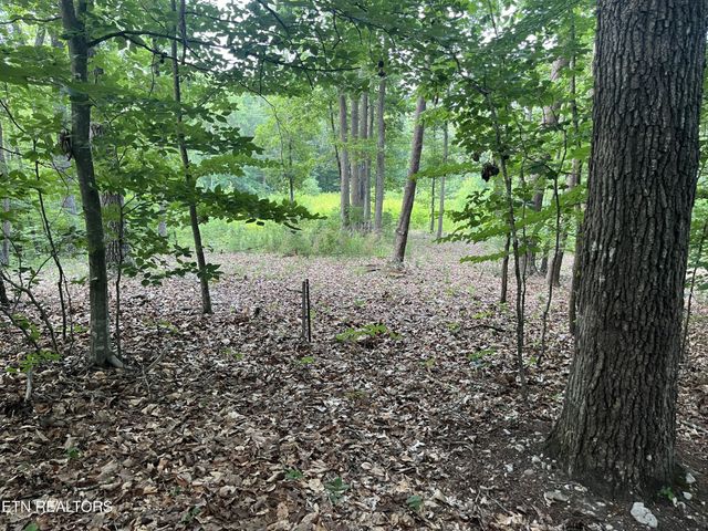 3278 Hillside Rd, White Pine, TN 37890
