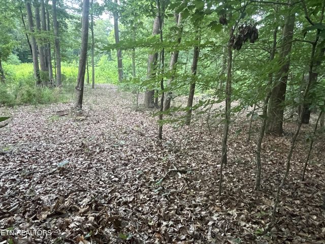 3278 Hillside Rd, White Pine, TN 37890
