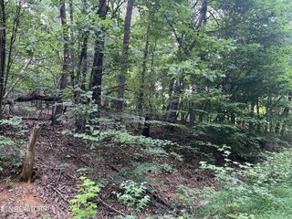 3278 Hillside Rd, White Pine, TN 37890