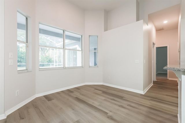 3810 SPRUCE PINE DRIVE, Valrico, FL 33596