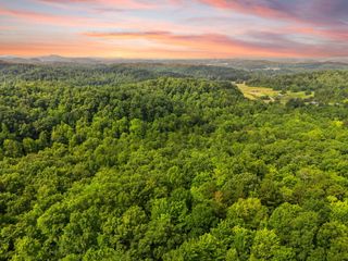 9999 Long Branch Road, London, KY 40741