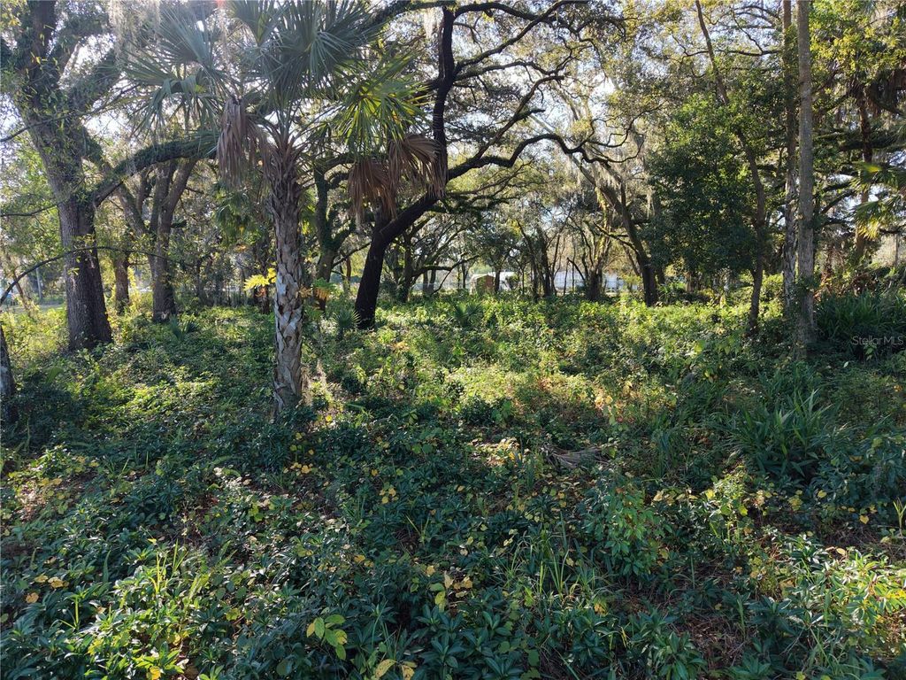 Image 6 of property listing at 15192 E COLONIAL DR, Orlando, FL 32826