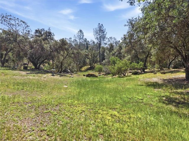 42704 Deep Forest, Coarsegold, CA 93614