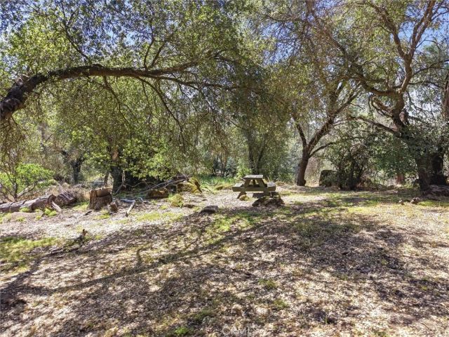 42704 Deep Forest, Coarsegold, CA 93614