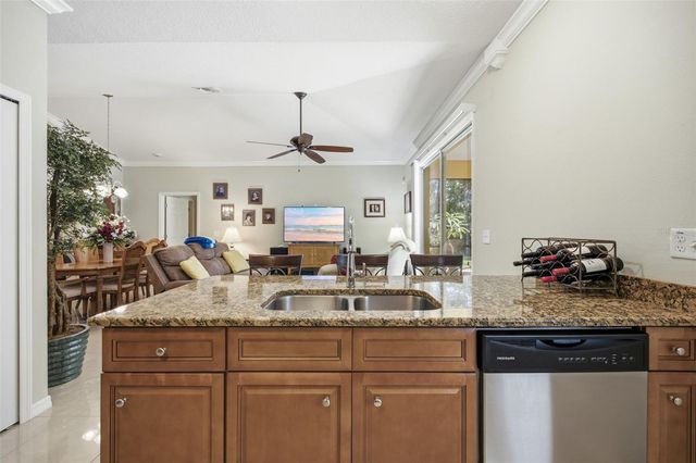 15107 MONET DRIVE, Tampa, FL 33613