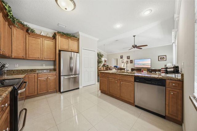 15107 MONET DRIVE, Tampa, FL 33613