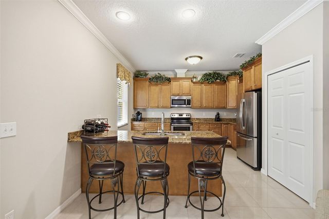 15107 MONET DRIVE, Tampa, FL 33613