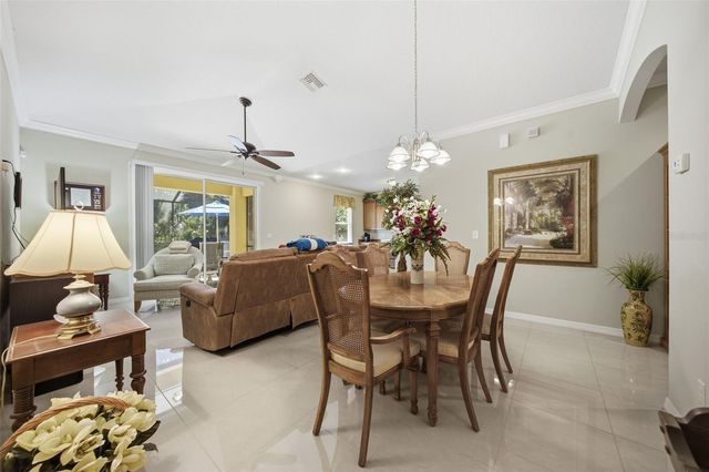 15107 MONET DRIVE, Tampa, FL 33613