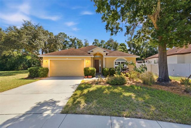 15107 MONET DRIVE, Tampa, FL 33613