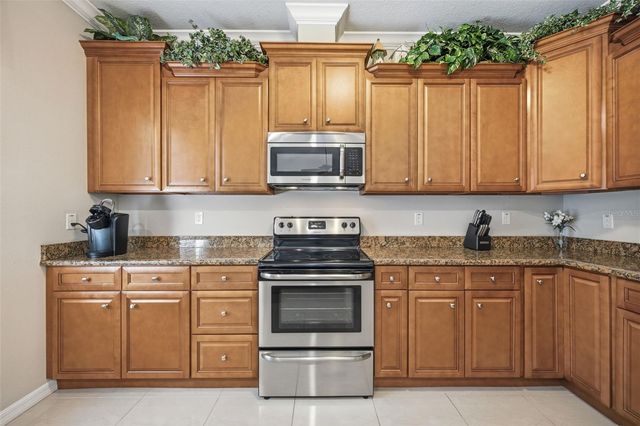 15107 MONET DRIVE, Tampa, FL 33613