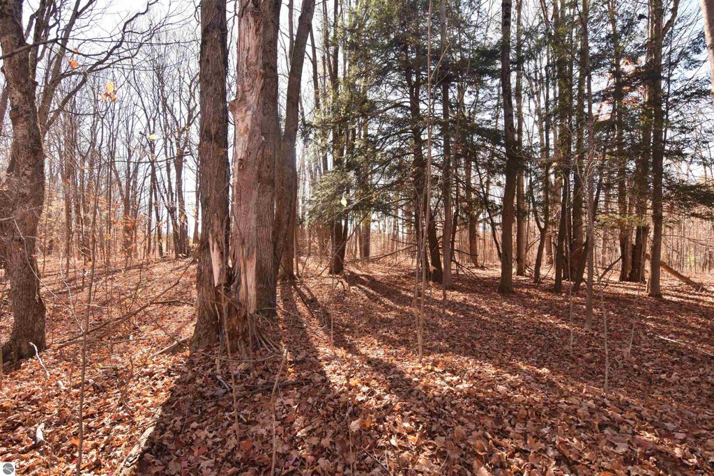 Image 1 of property listing at 00 W M-115, Mesick, MI 49668