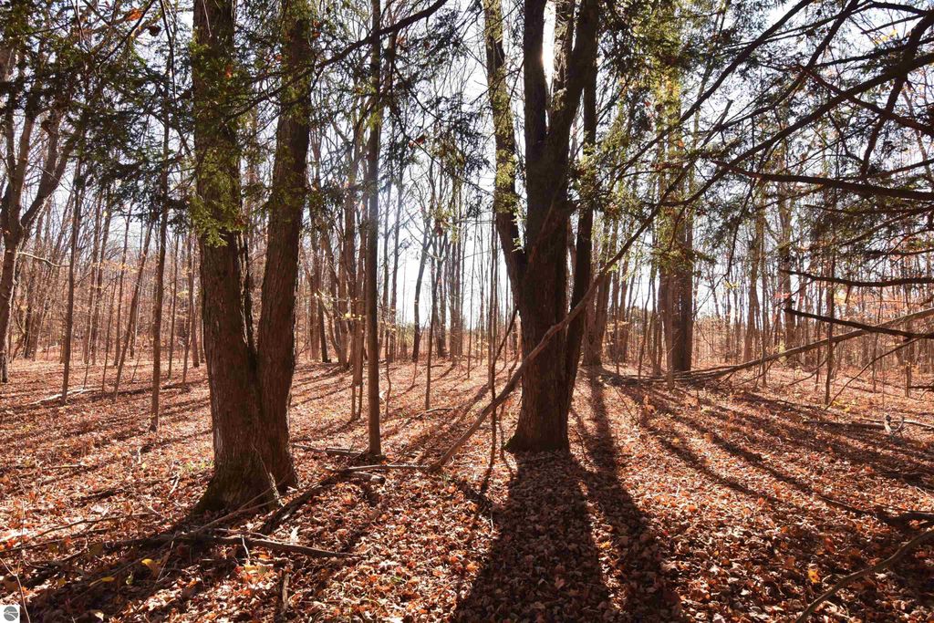 Image 2 of property listing at 00 W M-115, Mesick, MI 49668