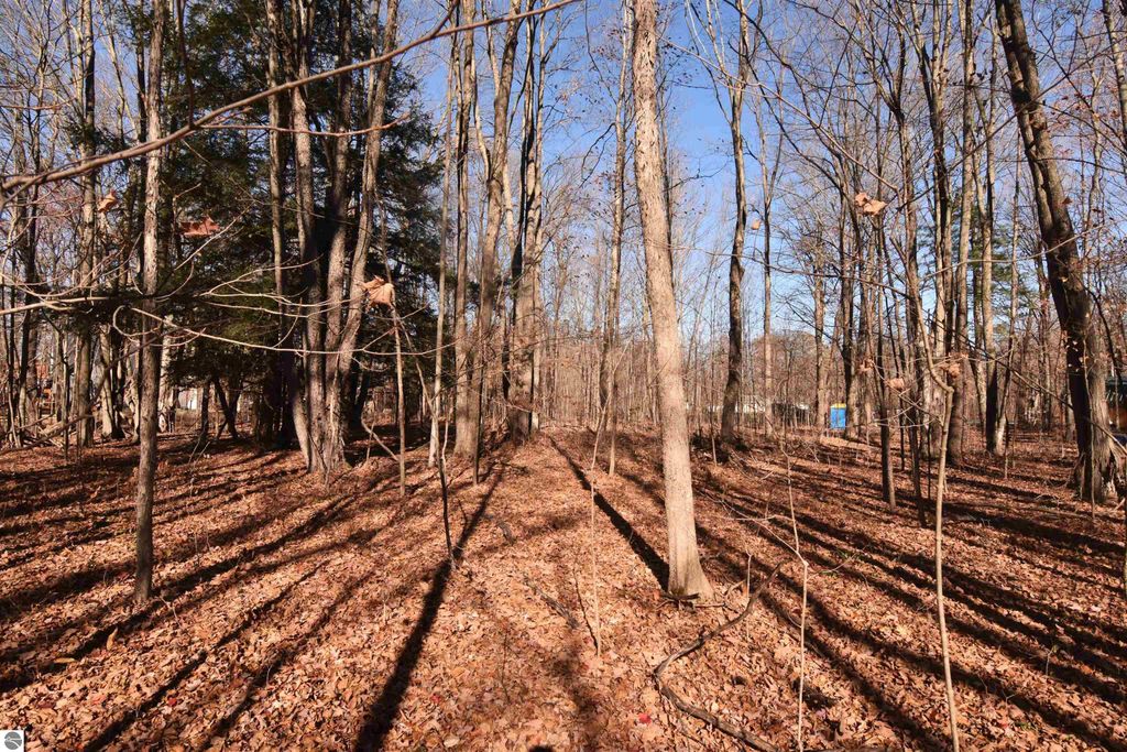 Image 3 of property listing at 00 W M-115, Mesick, MI 49668