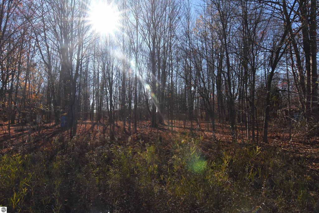 Image 4 of property listing at 00 W M-115, Mesick, MI 49668