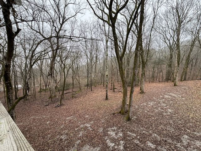 846 Red Bud Ln, Pulaski, TN 38478