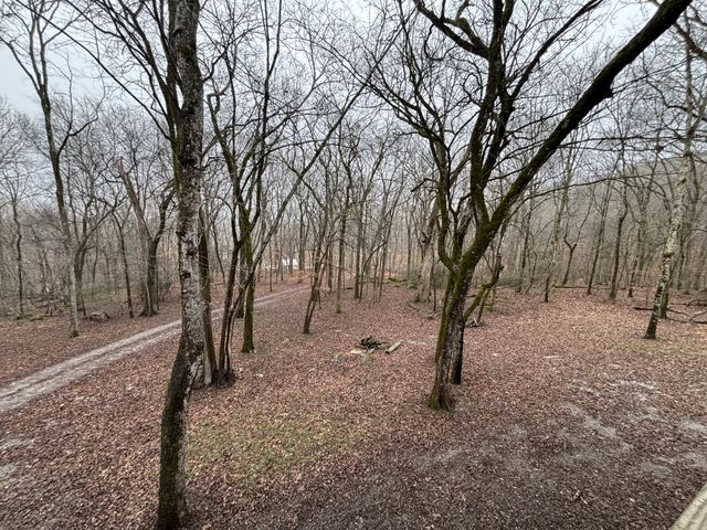 846 Red Bud Ln, Pulaski, TN 38478