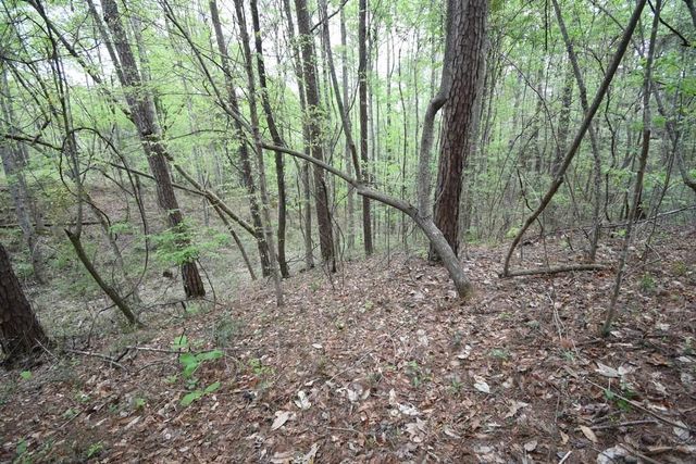 2219 E Hwy 98, Columbia, MS 39429