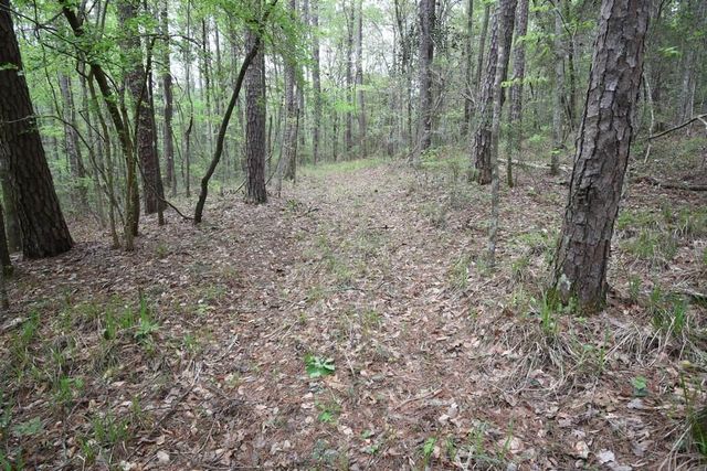 2219 E Hwy 98, Columbia, MS 39429