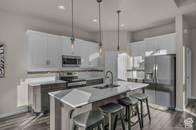 101 CHUCKWALLA LN, Springdale, UT 84767