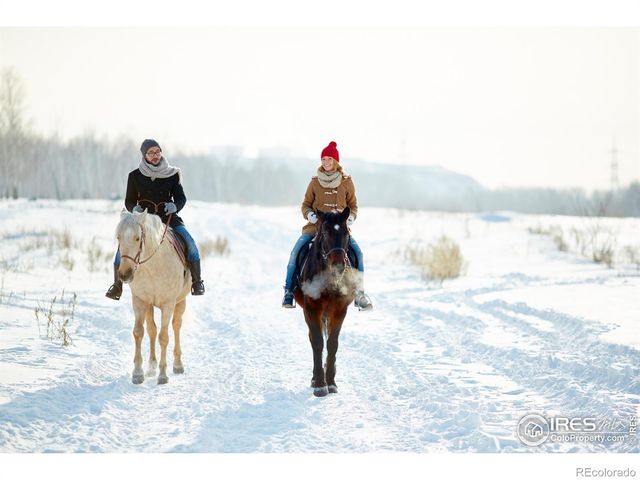 15 Ridge View Road, Nederland, CO 80466