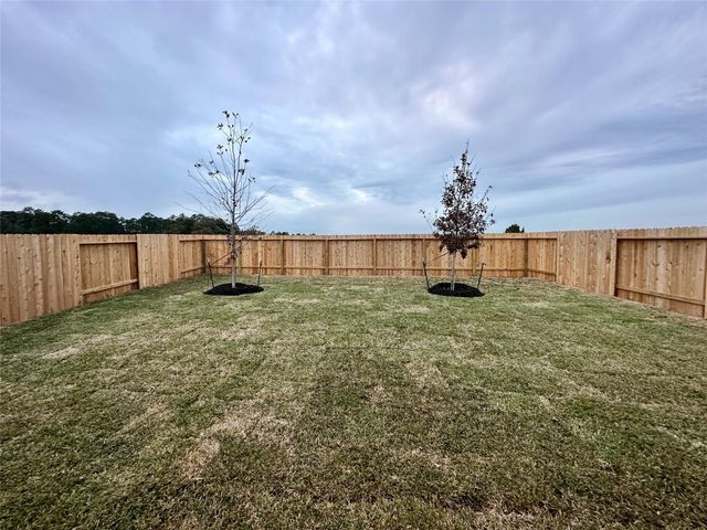 506 Dalloway Street, Montgomery, TX 77316